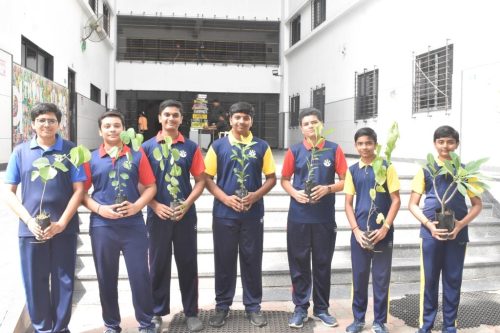 Tree Plantation (05/06/25)