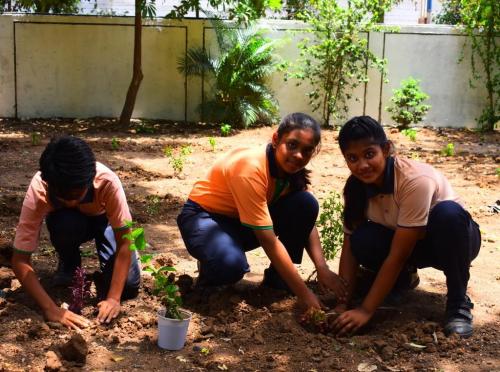 World Environment Day